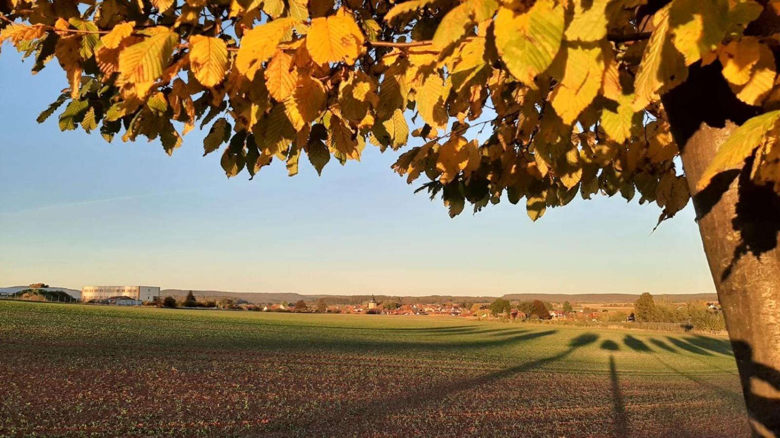 Stilvolle Ferienwohnung Im Eichsfeld Niederorschel Экстерьер фото