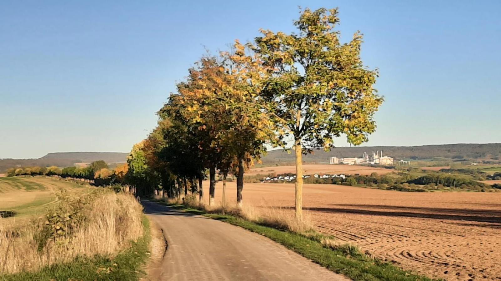 Stilvolle Ferienwohnung Im Eichsfeld Niederorschel Экстерьер фото